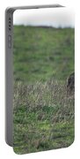 Bobcat in Grassy Field Portable Battery Charger