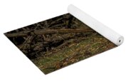 Fox Resting In Sunlit Clearing Yoga Mat