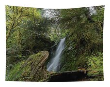 Serene Waterfall in Lush Forest Tapestry