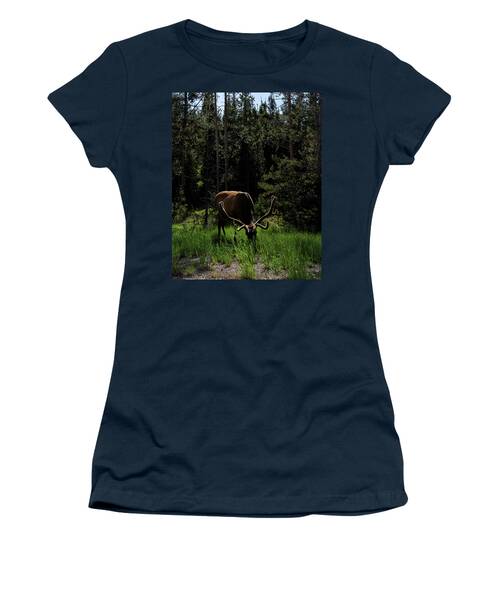 Elk Grazing In A Sunlit Forest In Grand Teton National Park Women's T-Shirt