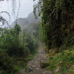 Misty Forest Pathway on the Inca Trail by Brandon Wichmann Misty Forest Pathway on the Inca Trail by Brandon Wichmann