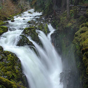 Serene Flow Through Mossy Forest by Brandon Wichmann Serene Flow Through Mossy Forest by Brandon Wichmann