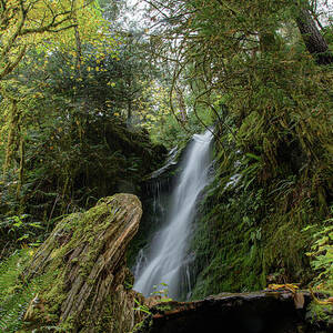 Serene Waterfall in Lush Rainforest by Brandon Wichmann Serene Waterfall in Lush Rainforest by Brandon Wichmann