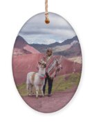 Peruvian Scene With Red Valley And Llama Ornament