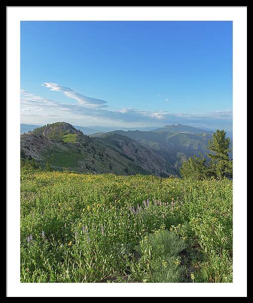 Mountain View with Wildflowers Framed Print