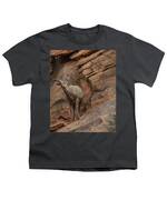 Bighorn Sheep On Rocky Terrain Youth T-Shirt