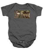 Mountain Goats in Natural Habitat Baby One-Piece
