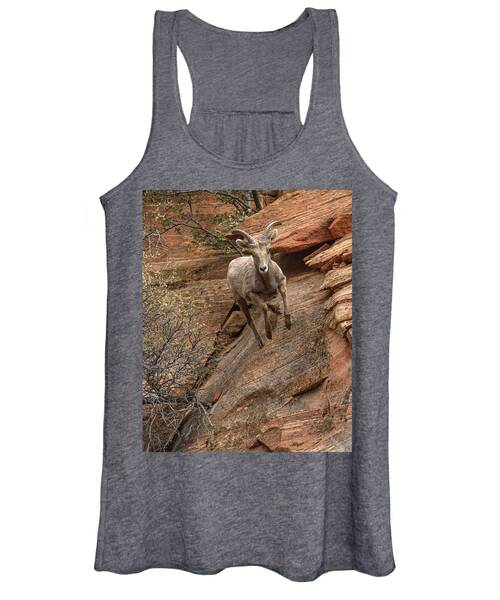 Big Horn Sheep Agile Descent In Zion National Park Women's Tank Top