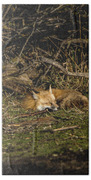 Peaceful Fox in Sunlit Meadow Bath Towel by Brandon Wichmann