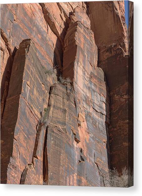 Towering Desert Sandstone Cliffs in Zion National Park Canvas Art Print by Brandon Wichmann