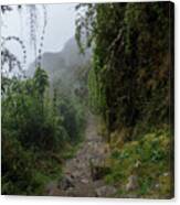 Misty Forest Pathway On The Inca Trail Canvas Print