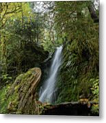 Serene Waterfall in Lush Forest Metal Print