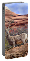Big Horn Sheep In Zion National Park Portable Battery Charger