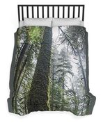 Majestic Forest Canopy In Olympic National Park Duvet Cover