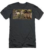 Mountain Goats in Natural Habitat T-Shirt