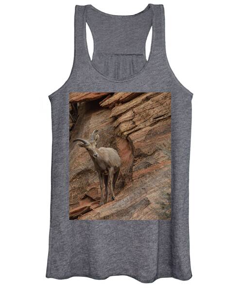 Bighorn Sheep On Rocky Terrain Women's Tank Top