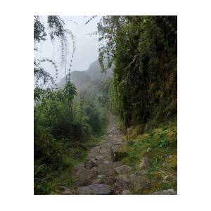 Misty Forest Pathway on the Inca Trail by Brandon Wichmann Misty Forest Pathway on the Inca Trail by Brandon Wichmann