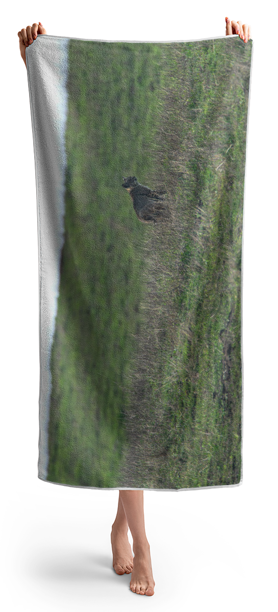 Bobcat in Grassy Field Beach Towel