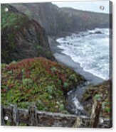 Rocky Coastline With Vibrant Foliage Acrylic Print