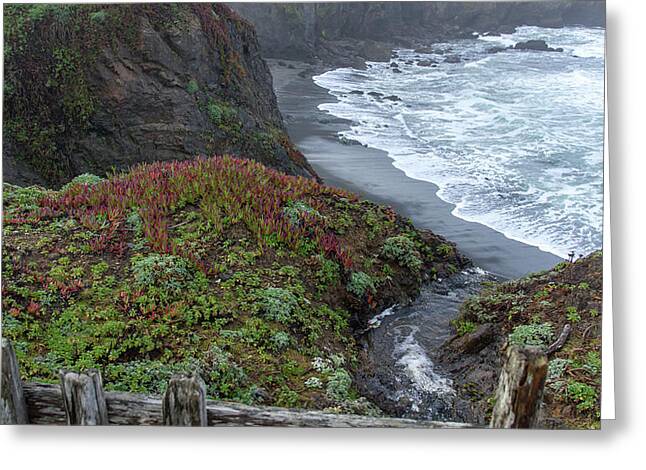Rocky Coastline With Vibrant Foliage Greeting Card