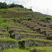 Ancient Terraces Amidst Greenery Art Print