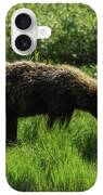 Solitary Bear In Grand Teton National Park iPhone Case