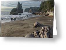 Rugged Coastal Landscape Greeting Card