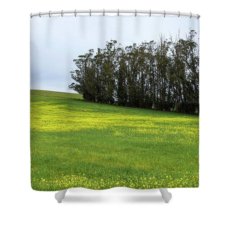 Rolling Hills With Blooming Wildflowers Shower Curtain