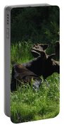 Moose Resting In Sunlit Meadow In Grand Teton National Park Portable Battery Charger