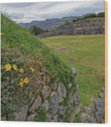 Saqsaywaman In Cusco Peru Wood Print