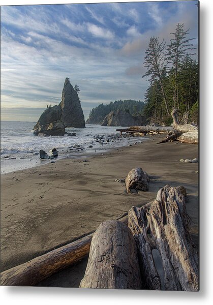 Rugged Coastal Landscape Metal Print