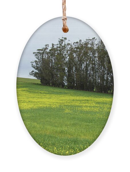 Rolling Hills With Blooming Wildflowers Ornament