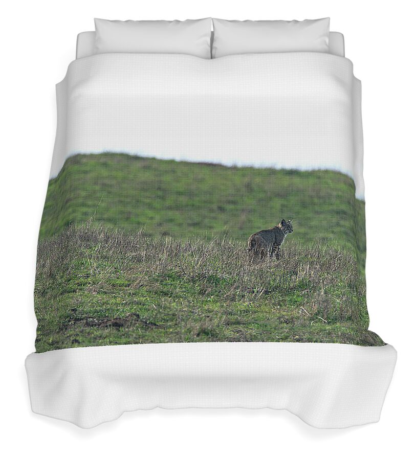 Bobcat in Point Reyes Duvet Cover by Brandon Wichmann