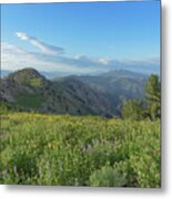 Mountain View with Wildflowers Metal Print