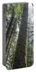 Majestic Forest Canopy In Olympic National Park Portable Battery Charger