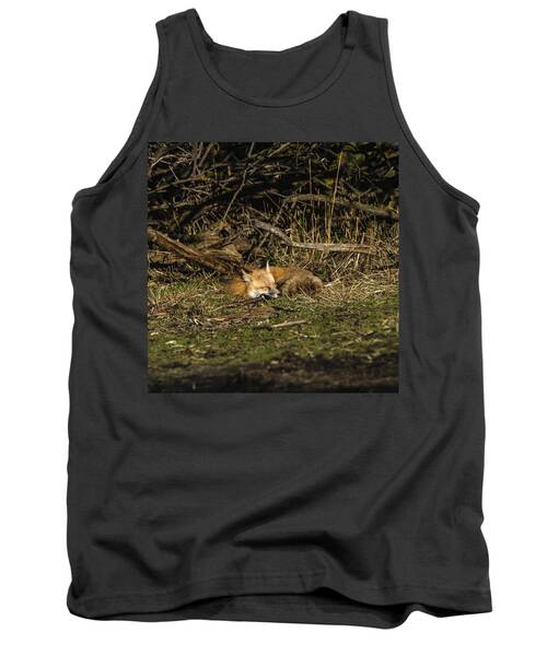 Peaceful Fox in Sunlit Meadow Tank Top by Brandon Wichmann