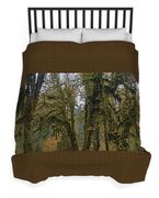 Moss-Covered Forest Trees Duvet Cover