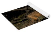 Fox In Sunlit Forest Clearing Yoga Mat