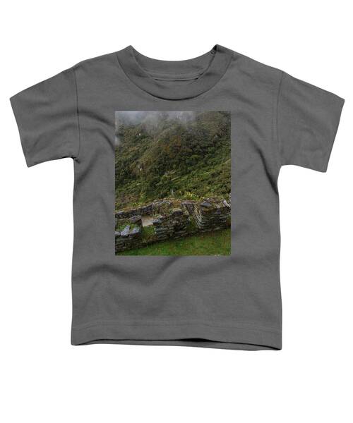 Misty Mountain Ruins Toddler T-Shirt