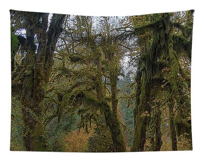 Tree Tapestries