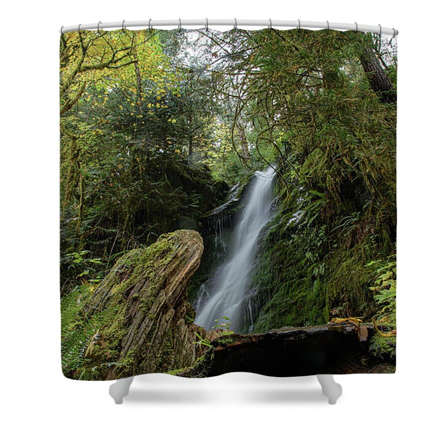 Serene Waterfall in Lush Forest Shower Curtain