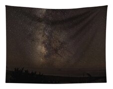 Milky Way Over Tranquil Shoreline Tapestry