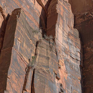 Towering Desert Sandstone Cliffs in Zion National Park by Brandon Wichmann Towering Desert Sandstone Cliffs in Zion National Park by Brandon Wichmann