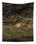 Peaceful Fox in Sunlit Meadow Tapestry by Brandon Wichmann