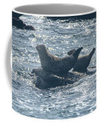 Seals Resting On Rocky Shoreline Coffee Mug