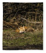 Peaceful Fox in Sunlit Meadow Fleece Blanket by Brandon Wichmann