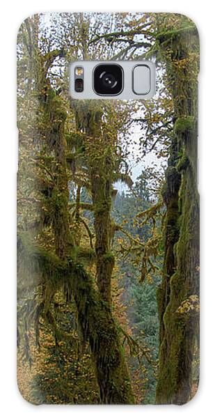 Tree Galaxy Cases