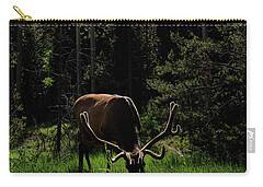 Wildlife Zip Pouches