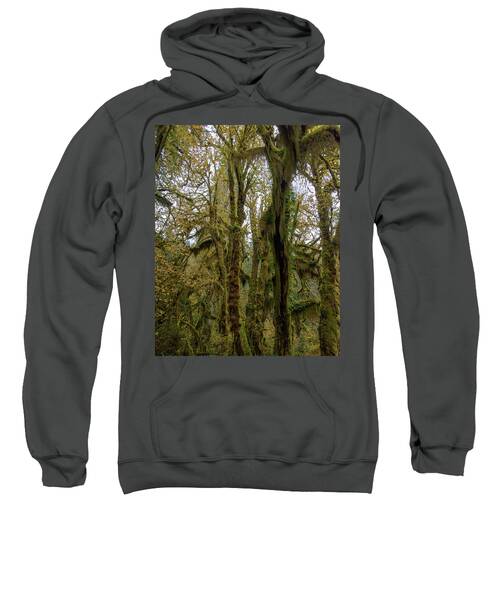 Moss-Covered Trees in a Dense Forest Sweatshirt