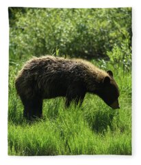 Grand Teton National Park Fleece Blankets